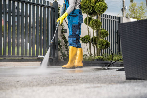 Best Sidewalk Pressure Washing  in French Island, WI